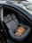 Автогамак для животных универсальный с подушкой Серый 312 + Черная стропа