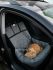 Автогамак для животных универсальный с подушкой Серый 312 + Черная стропа